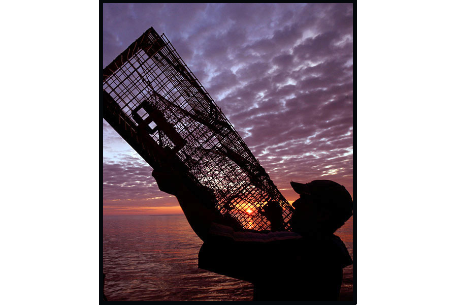 Lobstering ad
