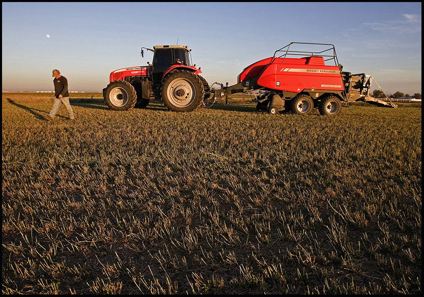 Massey Ferguson Tractor