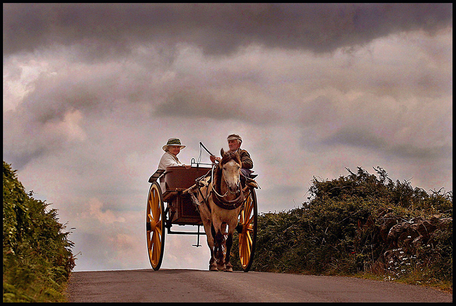 Aran Jaunting Cart