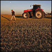 Ferguson Tractor